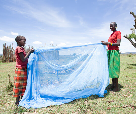 Malaria: informații utile